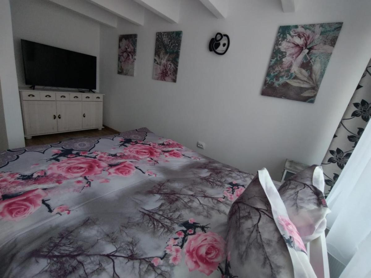 Apartament Alyosha Sighişoara Dış mekan fotoğraf