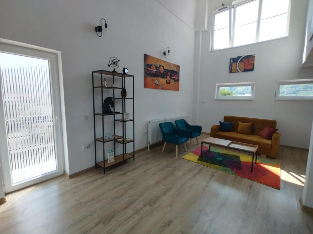 Apartament Alyosha Sighişoara Dış mekan fotoğraf